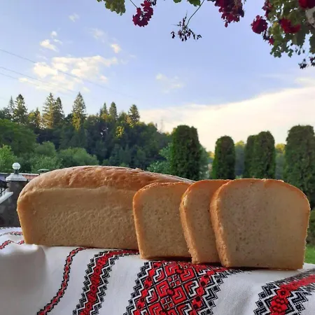 Otel шепіт карпат Pilipets