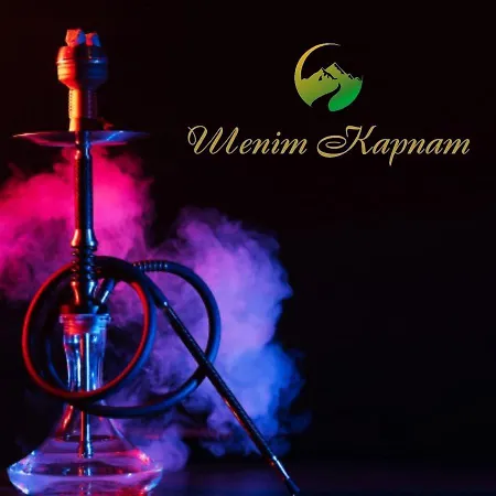 Hotel шепіт карпат Pilipets