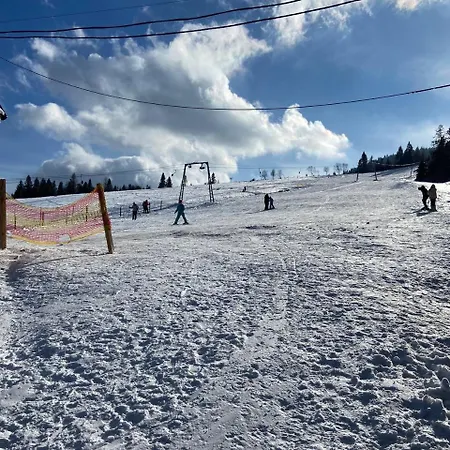 шепіт карпат Hotel Pilipets