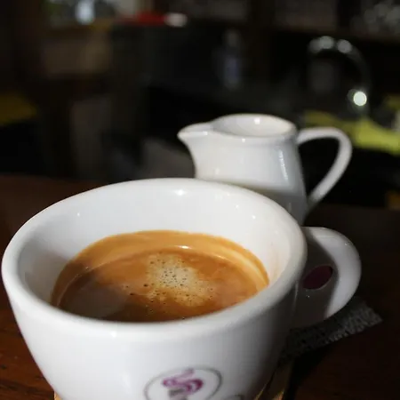 Hotel шепіт карпат