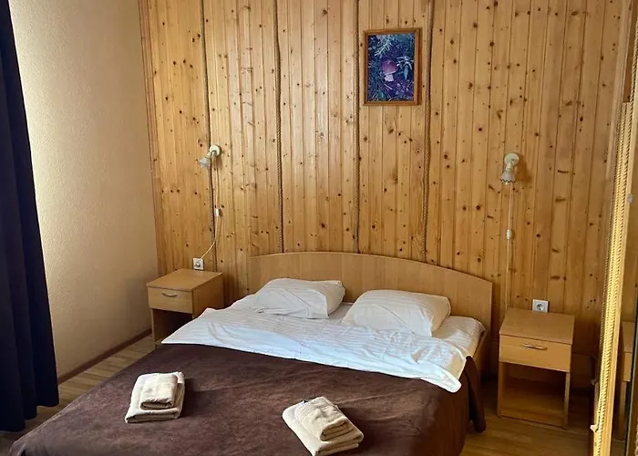 шепіт карпат Otel Pilipets